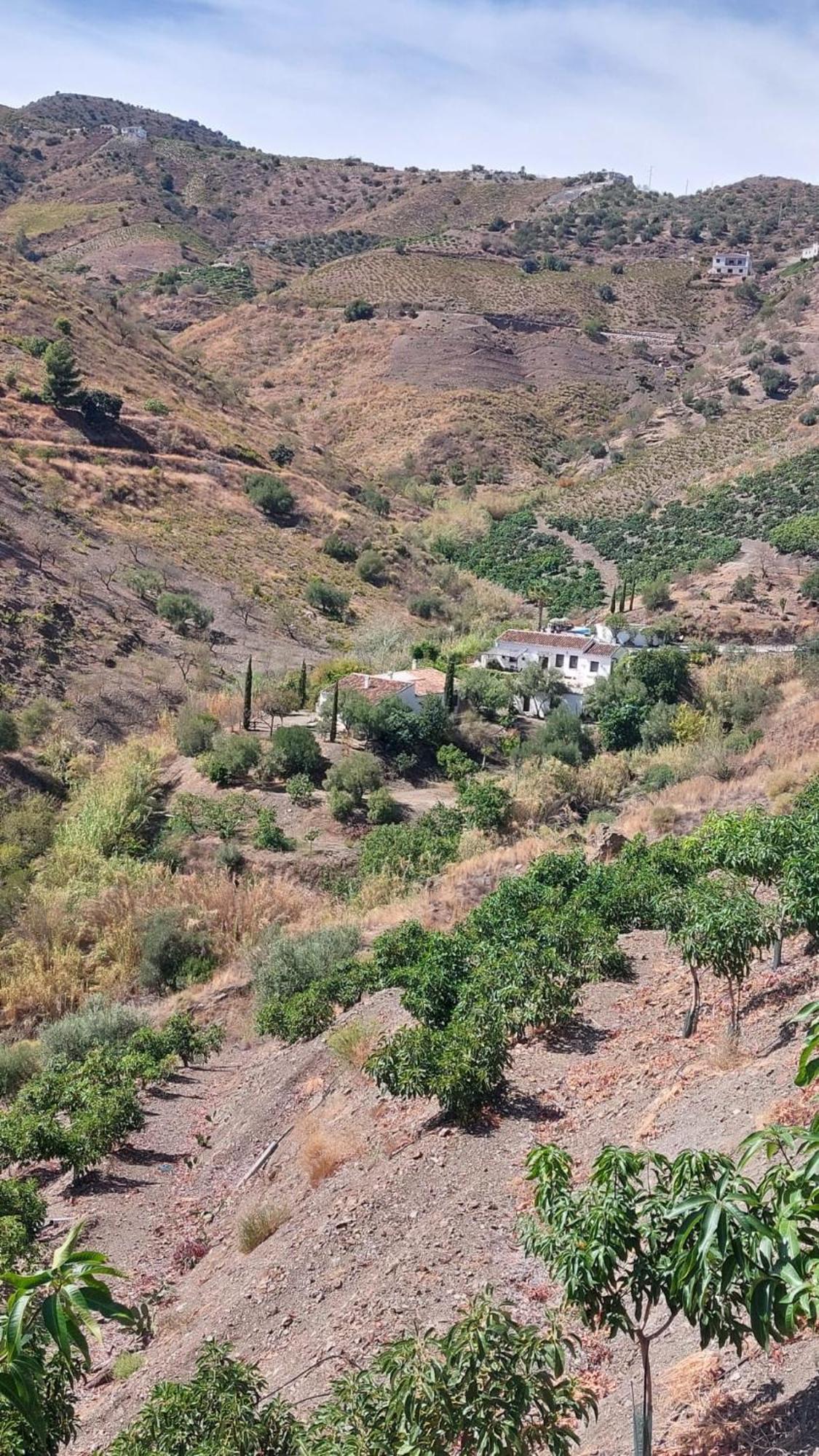 Cortijo Lagar De Luisa Guest House Borge Bagian luar foto