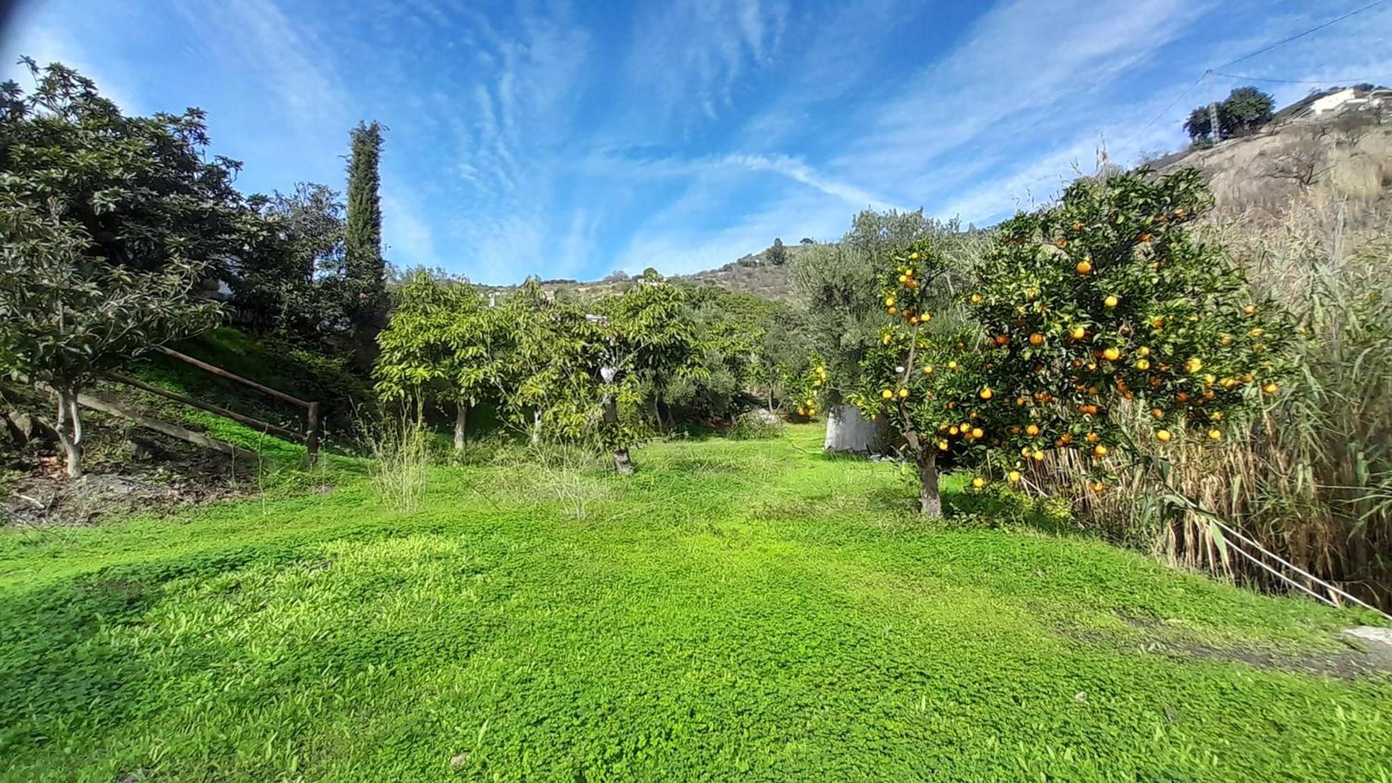 Cortijo Lagar De Luisa Guest House Borge Bagian luar foto