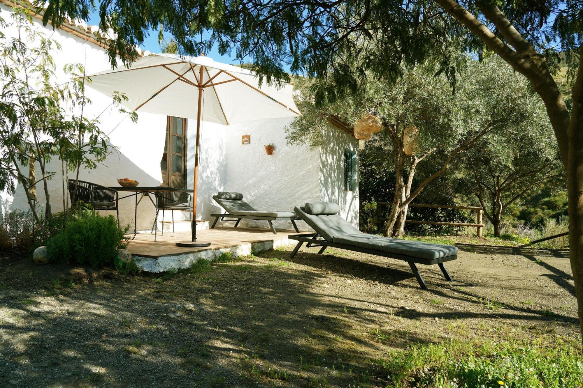 Cortijo Lagar De Luisa Guest House Borge Bagian luar foto