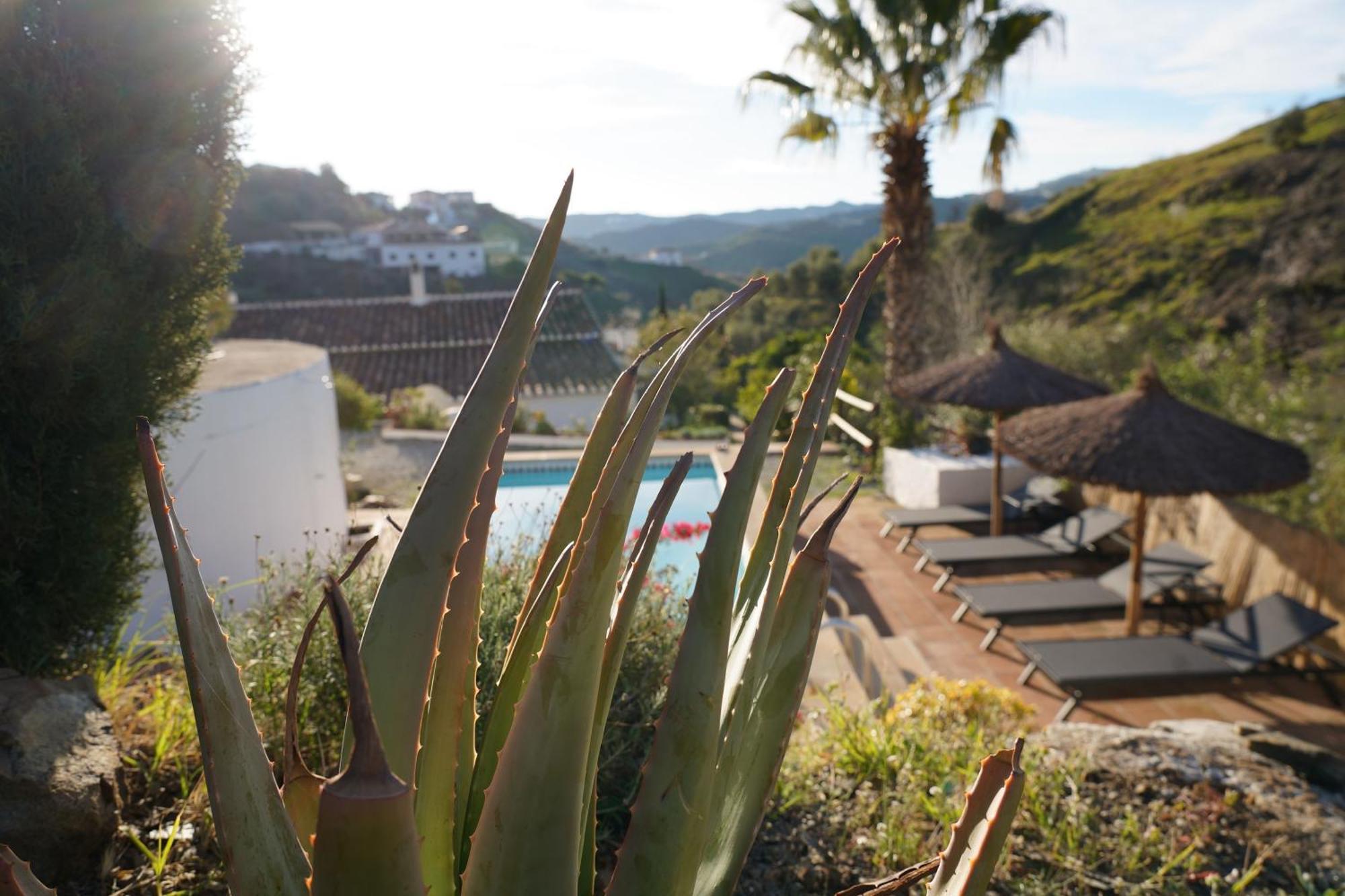 Cortijo Lagar De Luisa Guest House Borge Bagian luar foto