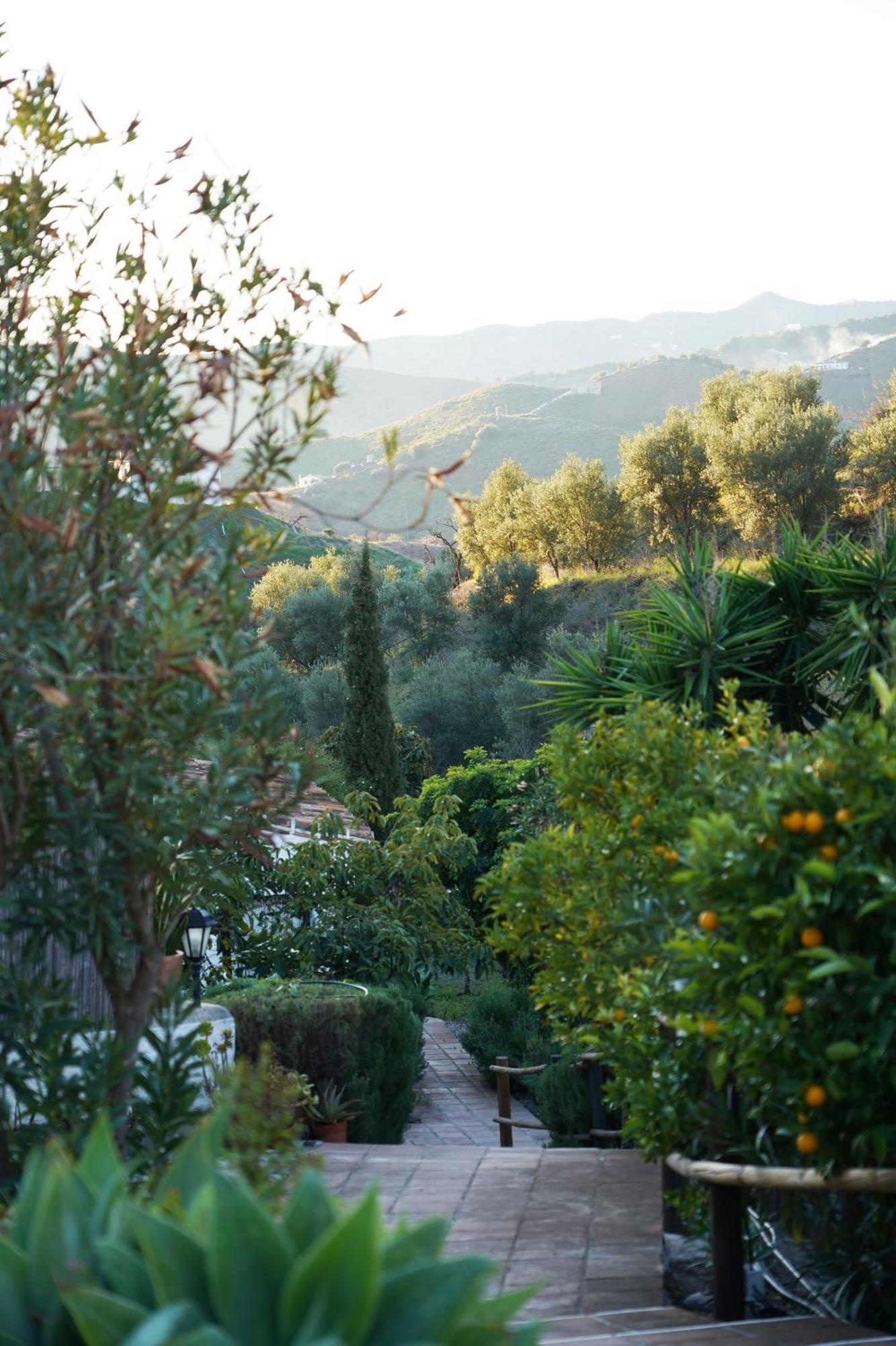 Cortijo Lagar De Luisa Guest House Borge Bagian luar foto
