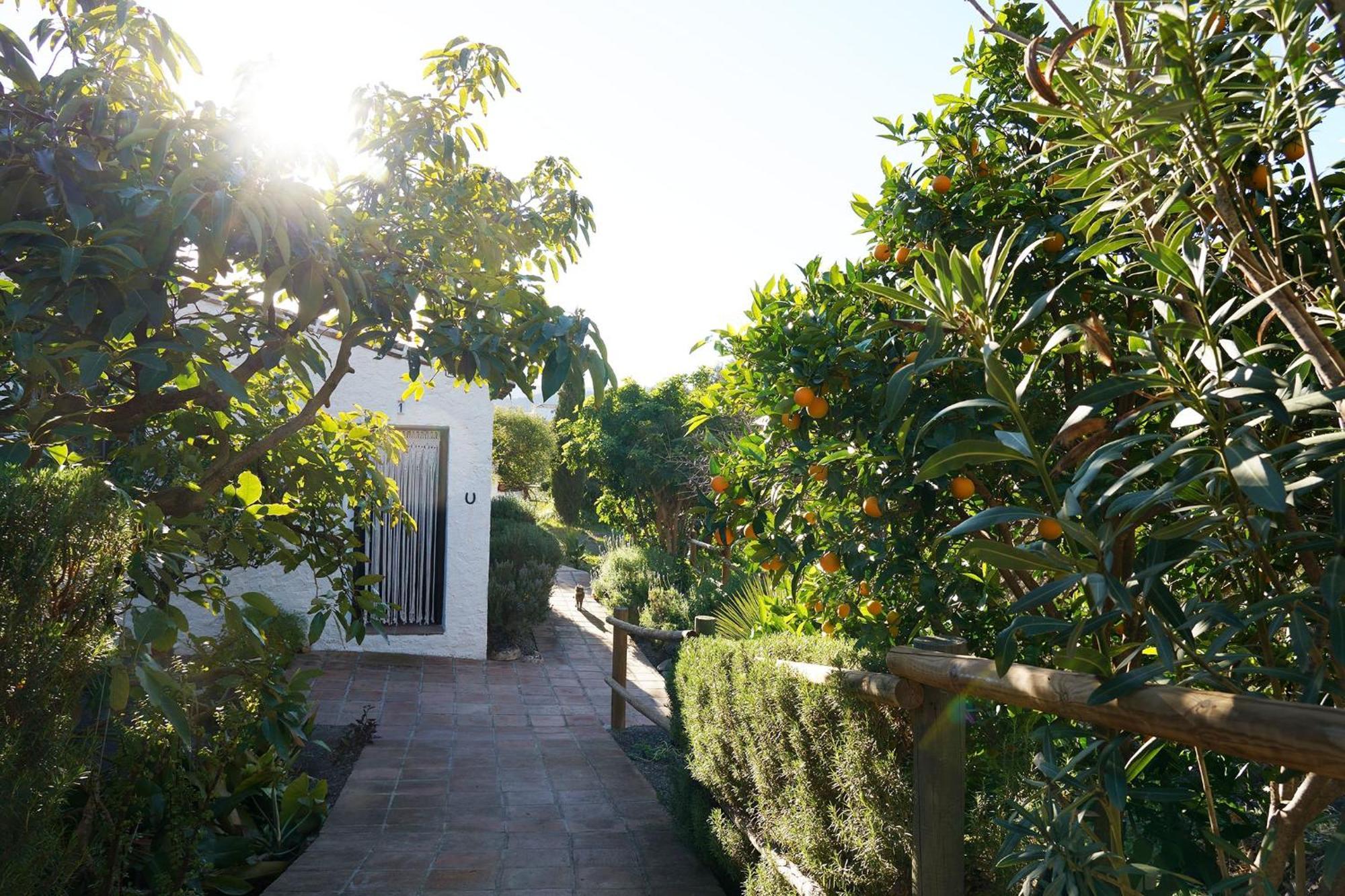 Cortijo Lagar De Luisa Guest House Borge Bagian luar foto