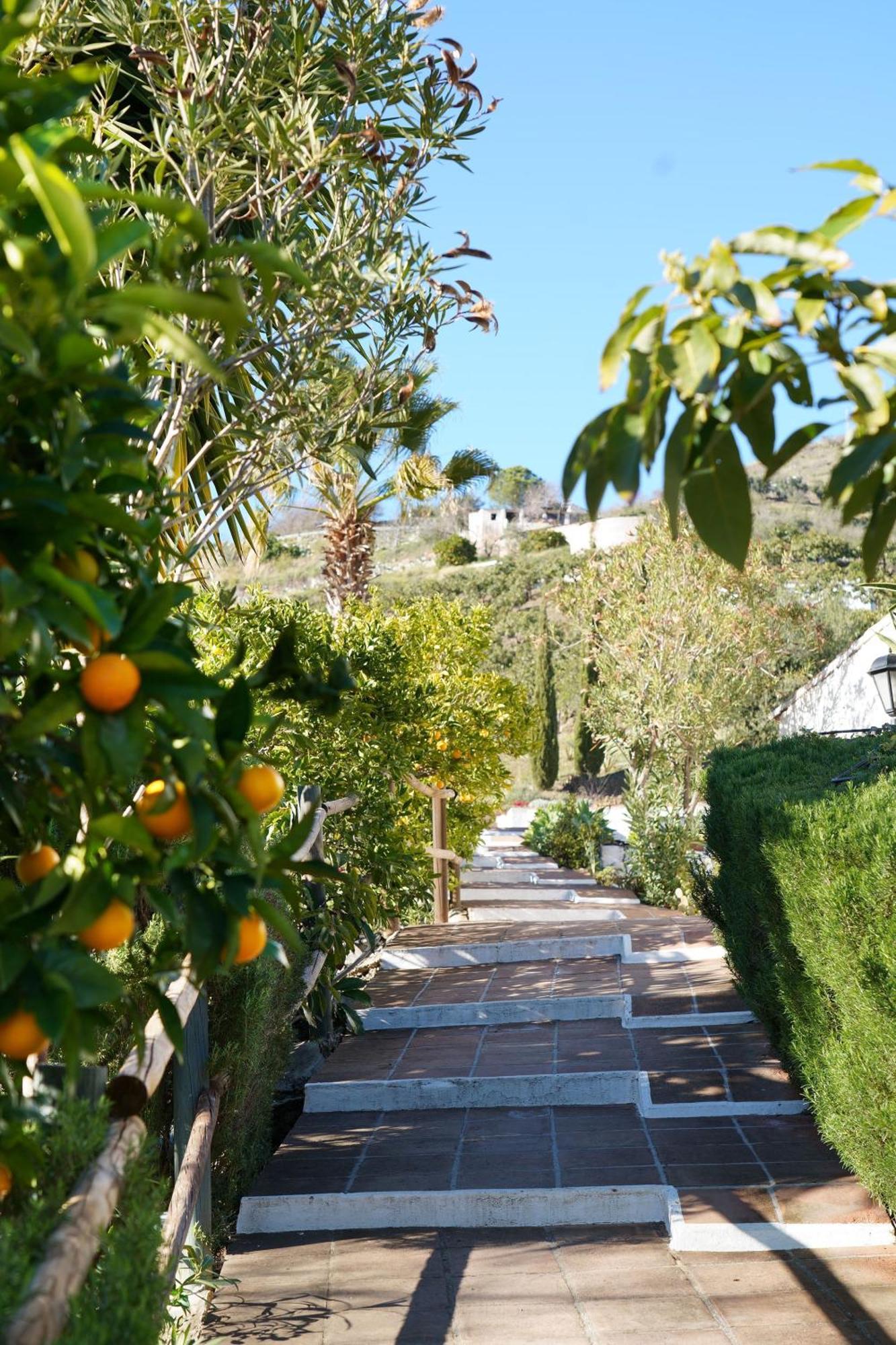 Cortijo Lagar De Luisa Guest House Borge Bagian luar foto
