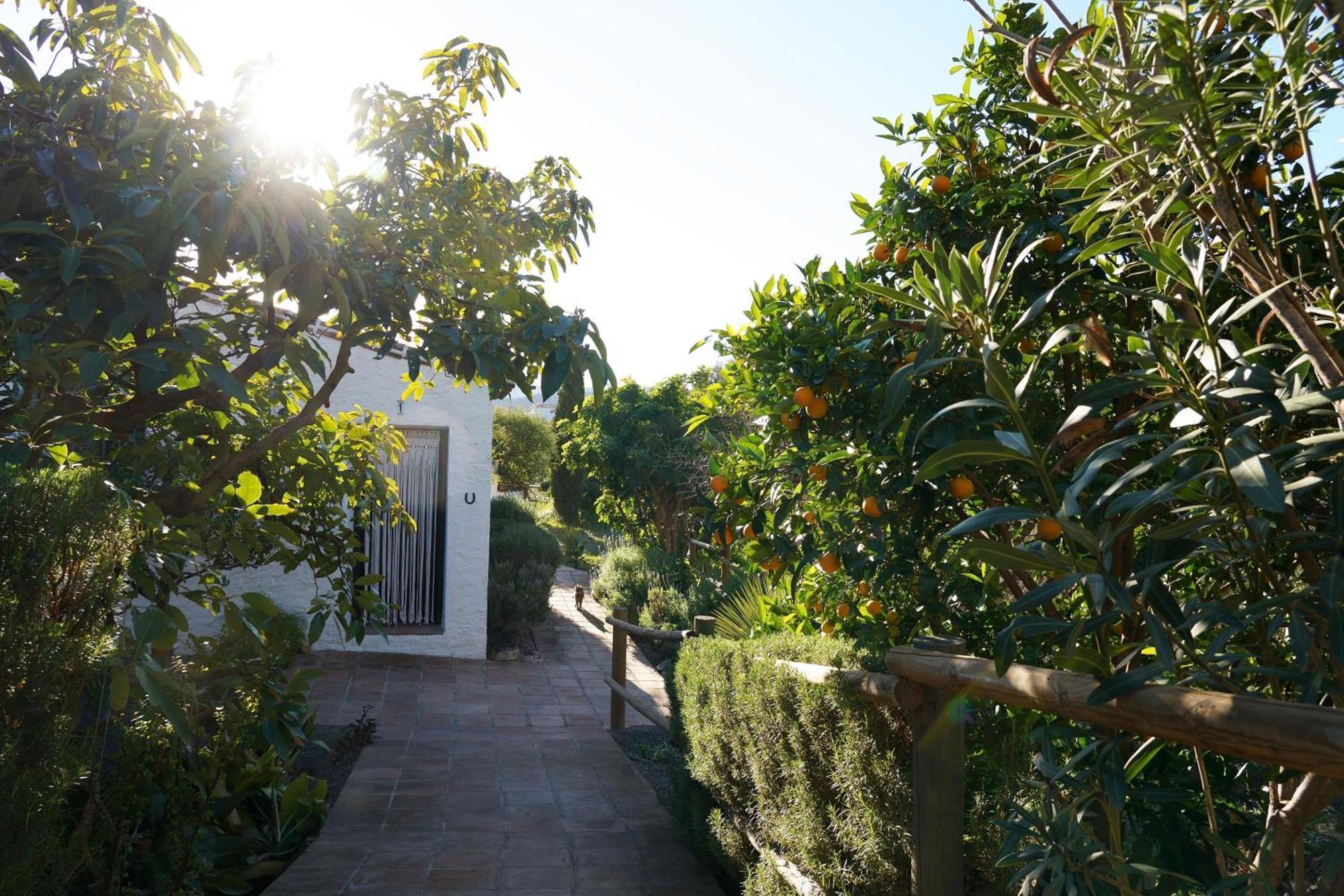 Cortijo Lagar De Luisa Guest House Borge Bagian luar foto
